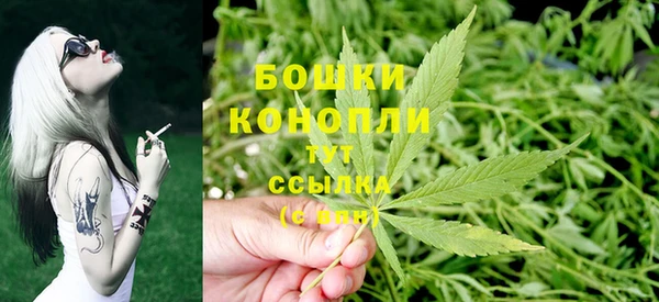 гидра Касимов