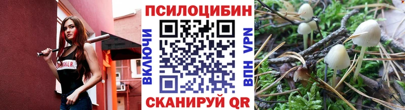 Псилоцибиновые грибы Psilocybine cubensis  Купить закладки  Дзержинский 